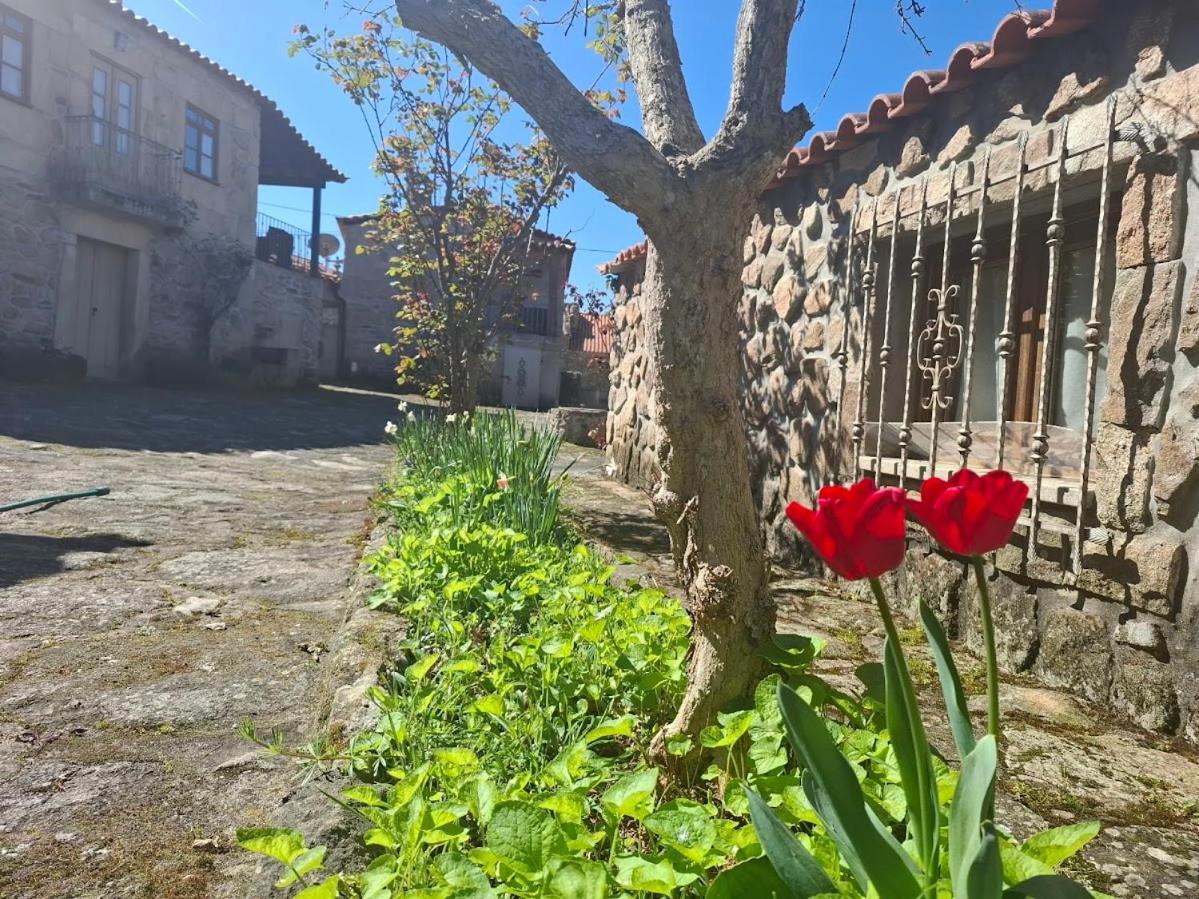 Casas Do Juizo - Country Houses 외부 사진