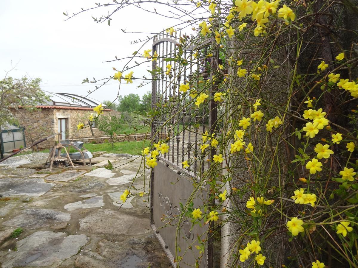 Casas Do Juizo - Country Houses 외부 사진